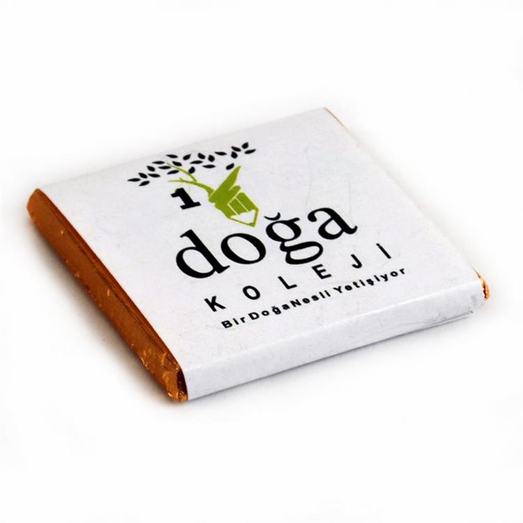 Doga College