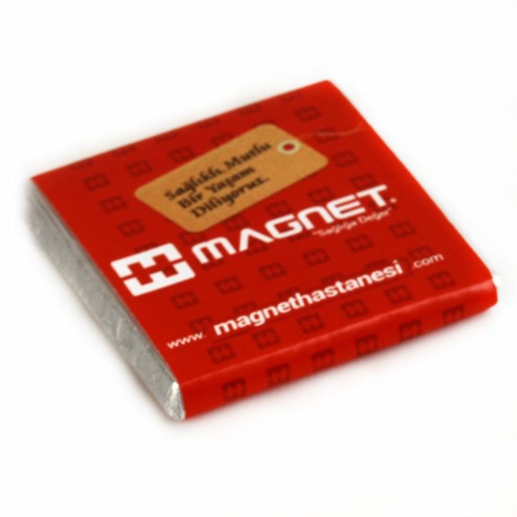Magnet